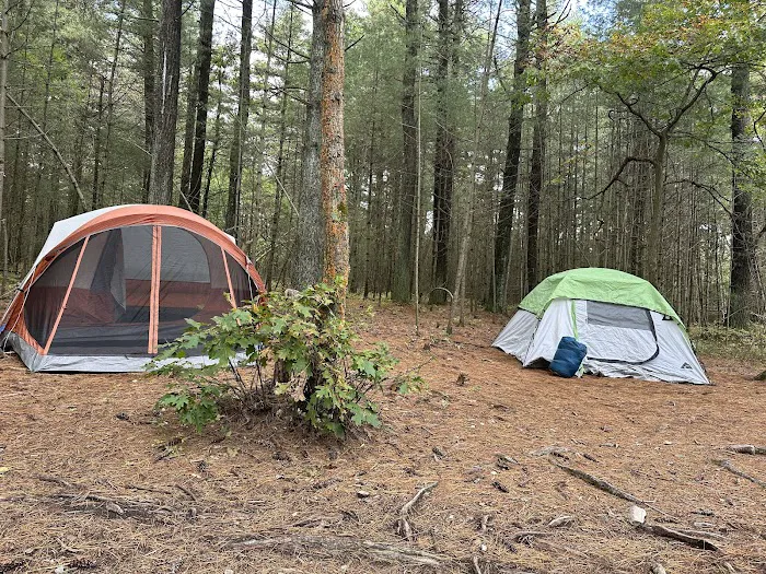 Primitive Campsite #10 4