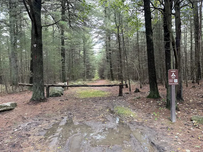 Primitive Campsite #10 5