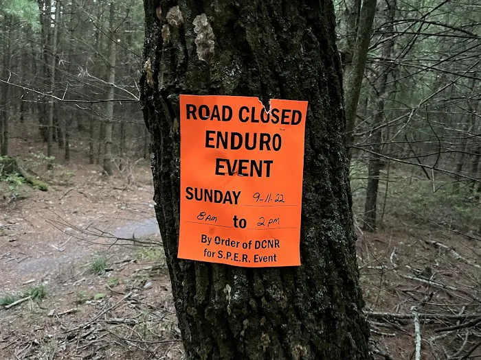 Primitive Campsite #10 1