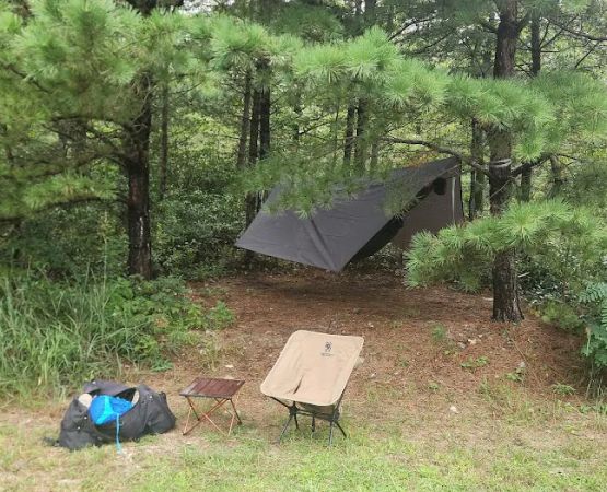 Roadside Campsite 009 Haunted Hollow