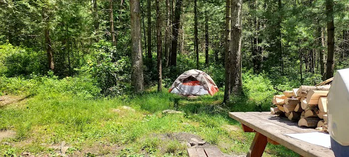 Primitive Campsite #11 2