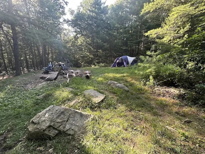 Primitive Campsite #11 3