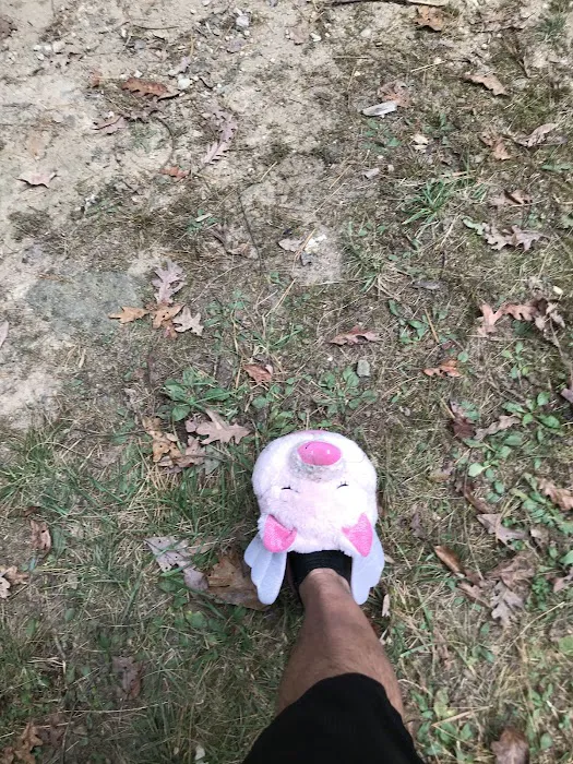 Primitive Campsite #11 5