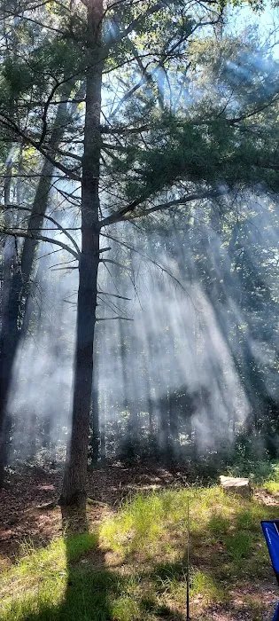 Primitive Campsite #11 0