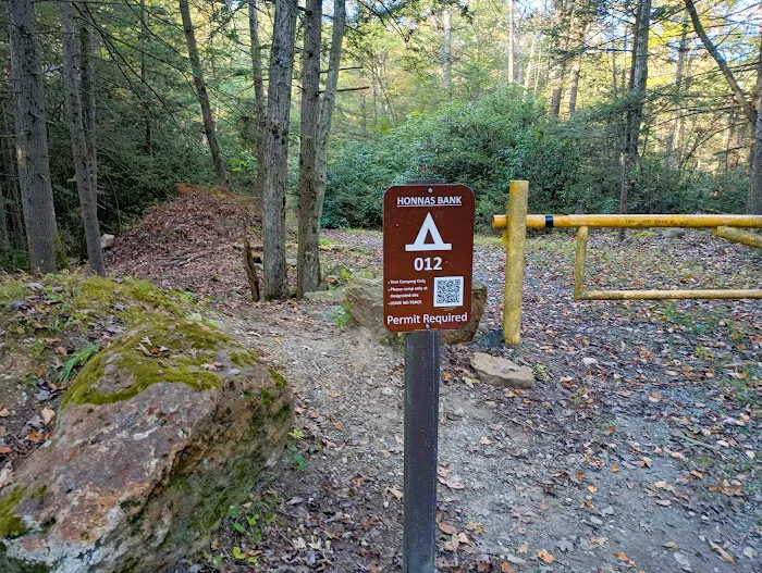 Primitive Campsite #12 1