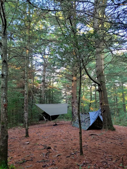 Primitive Campsite #12 8