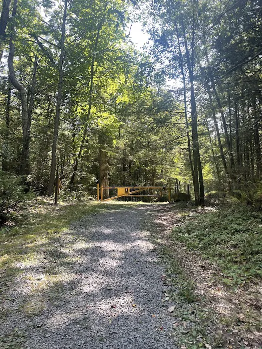 Primitive Campsite #12 4