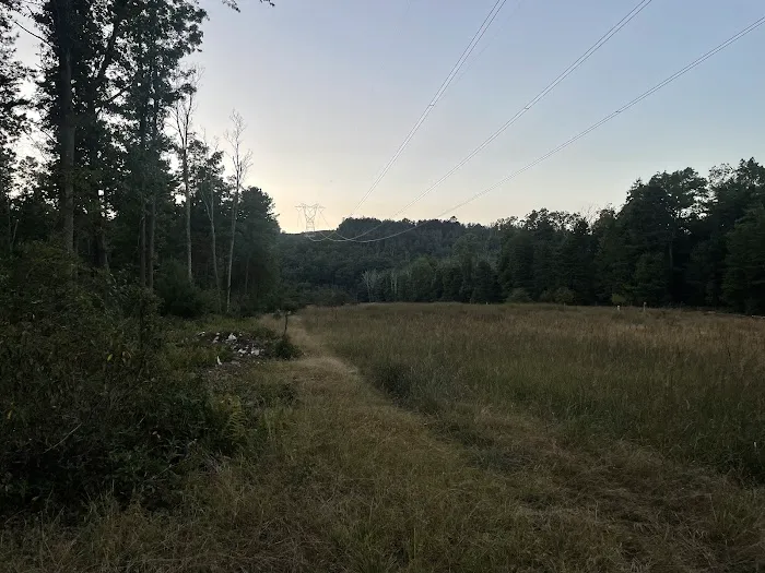 Primitive Campsite #12 0