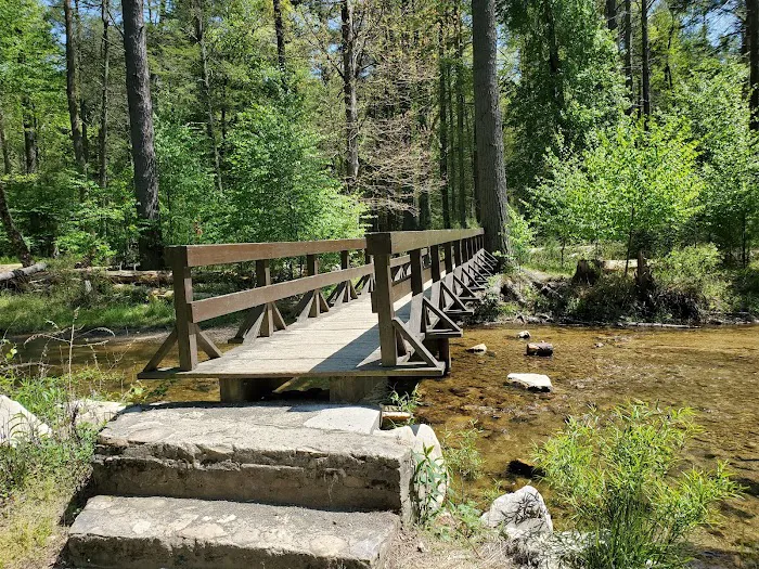 Hosack Run Campground 9