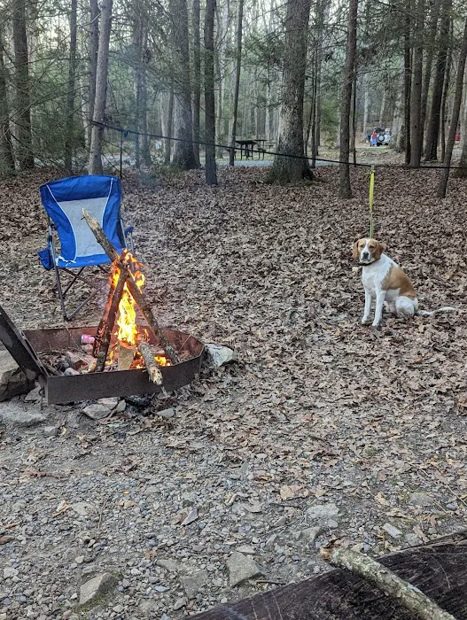 Hosack Run Campground 2