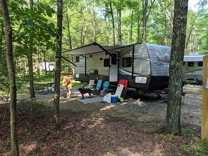 Hosack Run Campground 8