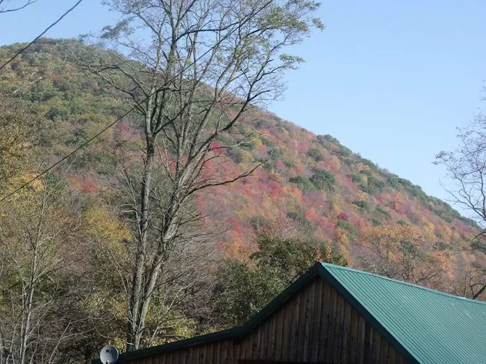 Marvin Run Campground 7