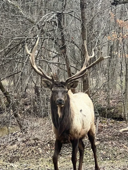 Hemlock Campground of Potter County 7