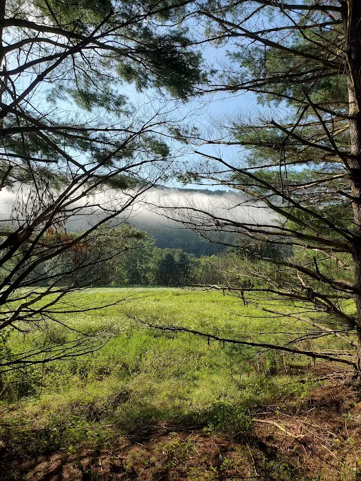 Campground at Sinnemahoning State Park 0
