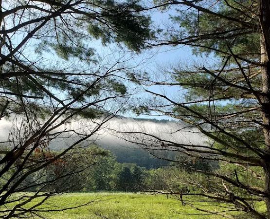 Campground at Sinnemahoning State Park