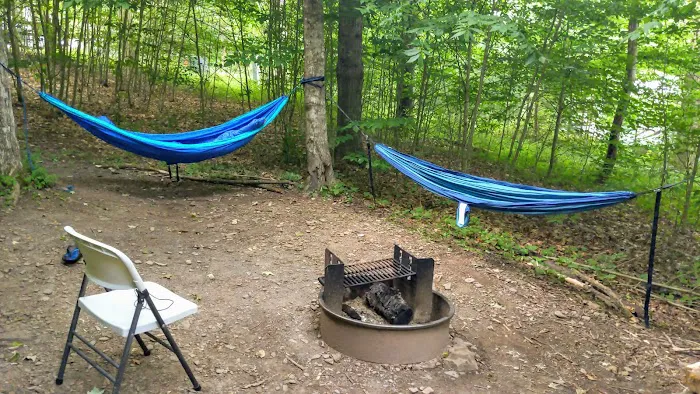Campground at Sinnemahoning State Park 5