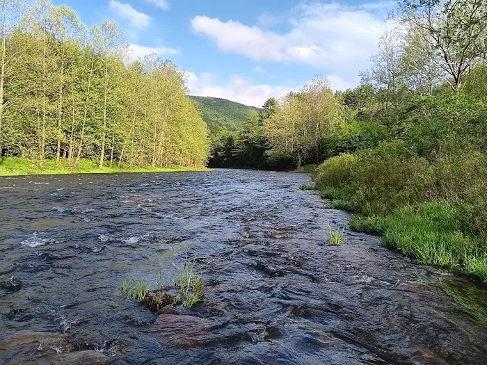 Campground at Sinnemahoning State Park 4