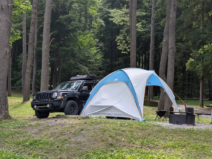 Campground at Sinnemahoning State Park 9