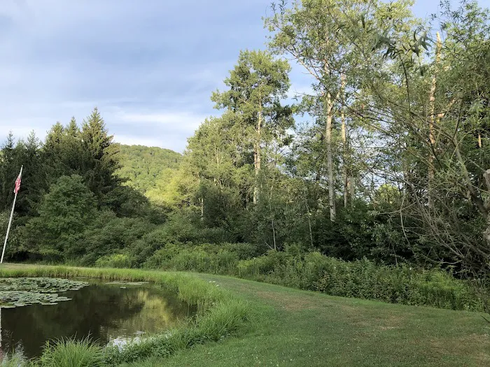 Cady Hollow Campground 4