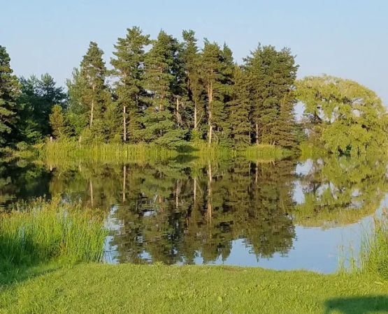 Paradise Park Campground