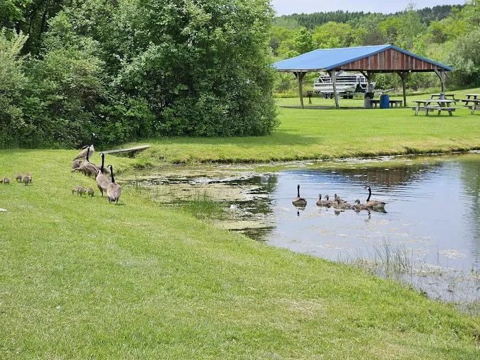 Paradise Park Campground 9