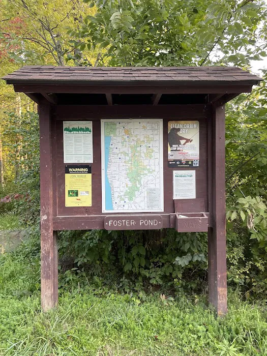 Foster pond camping area 6