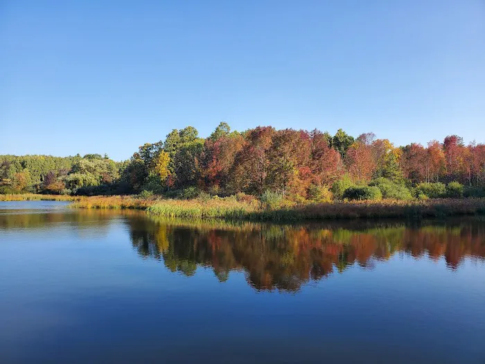 Foster pond camping area 9