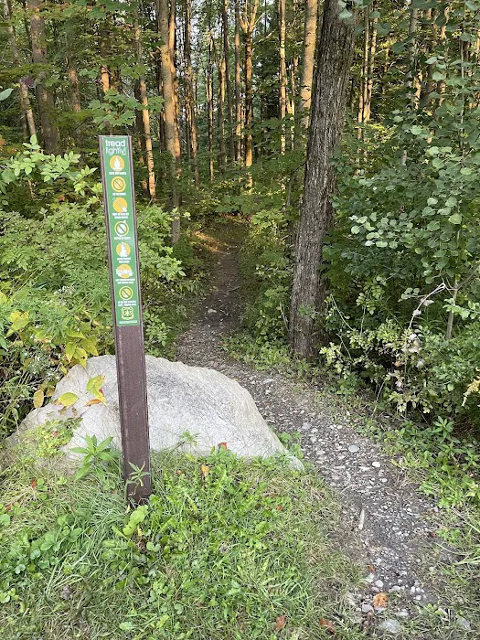 Foster pond camping area 3