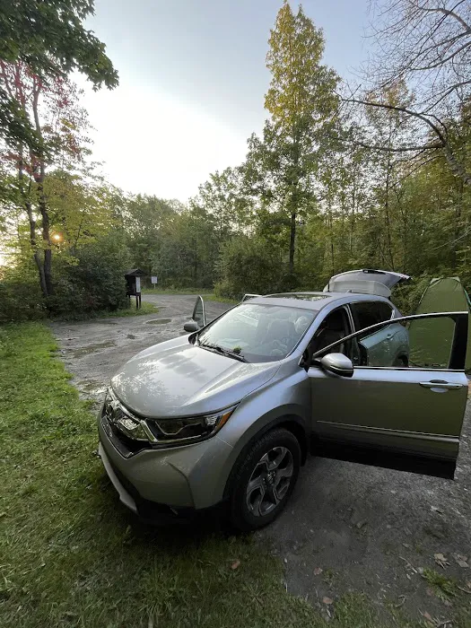 Foster pond camping area 0