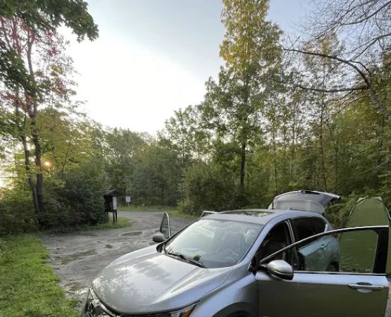 Foster pond camping area