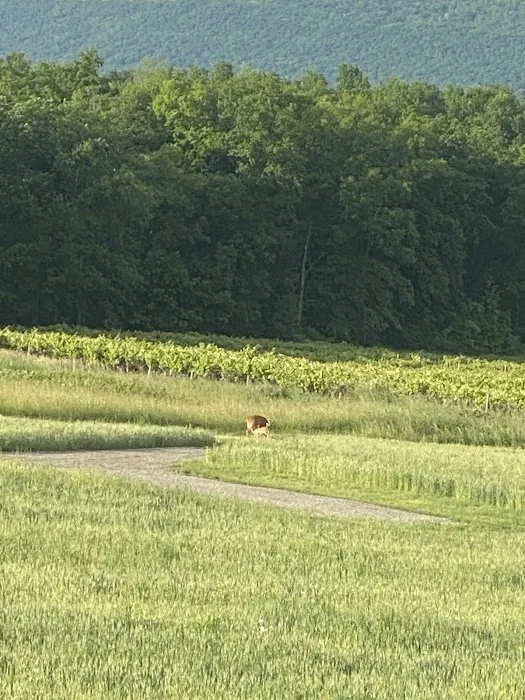 QKA View Campsites 5