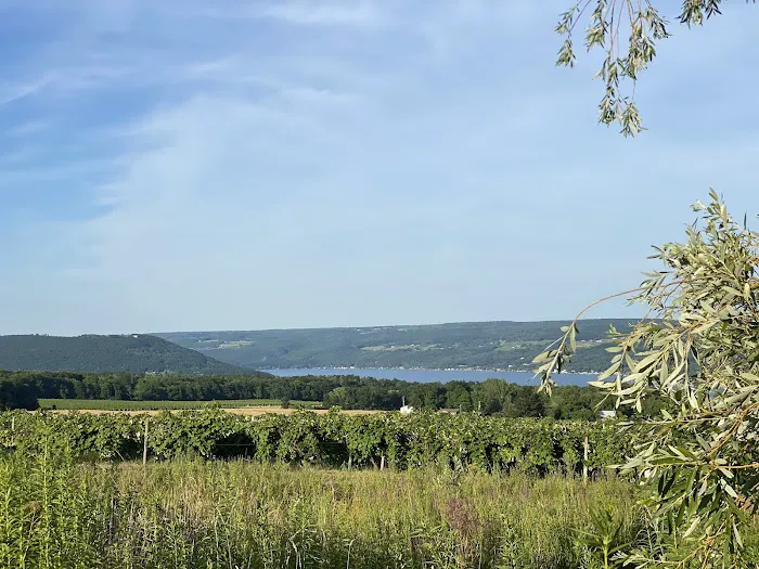 QKA View Campsites 7