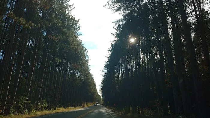 Tanglewood Park Cooperative 2