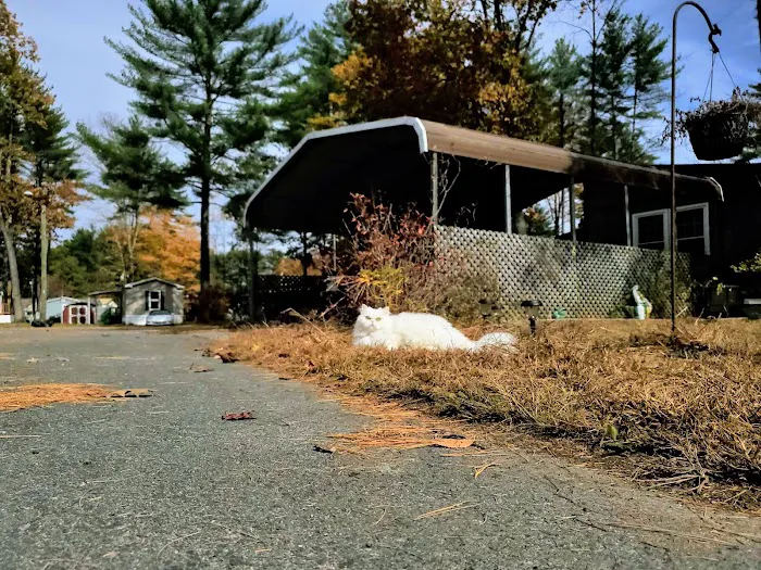 Tanglewood Park Cooperative 5