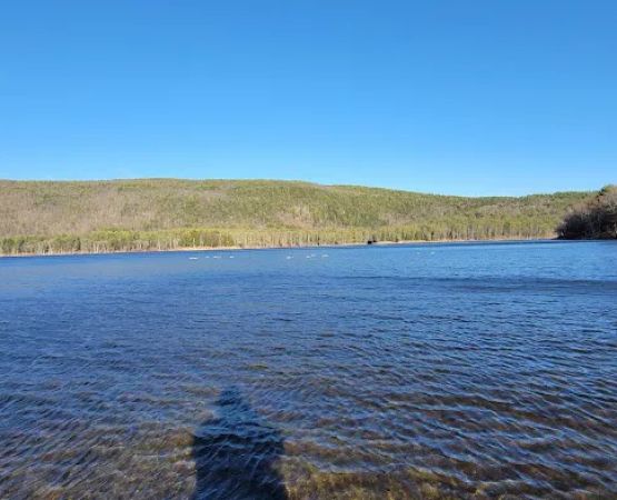 Surry Mountain Camp Ground