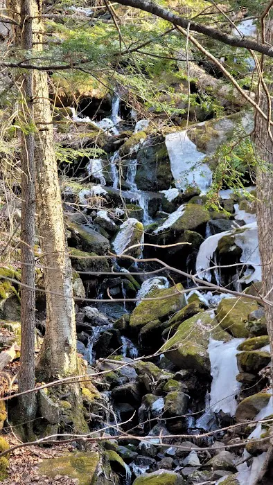 Surry Mountain Camp Ground 9