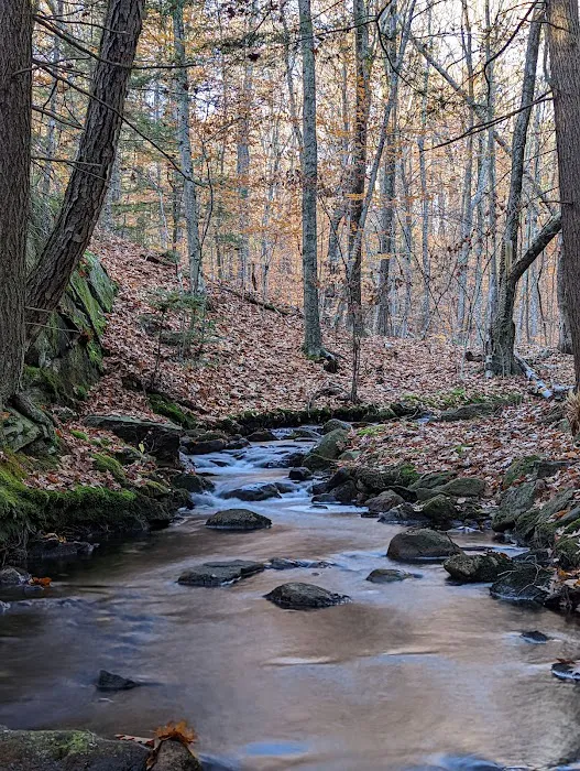 Gilson Pond Campground 5