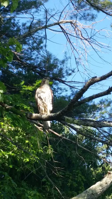 Forest Park Tenants Co-Op 2