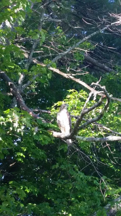 Forest Park Tenants Co-Op 4