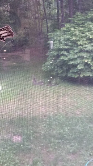 Forest Park Tenants Co-Op 1