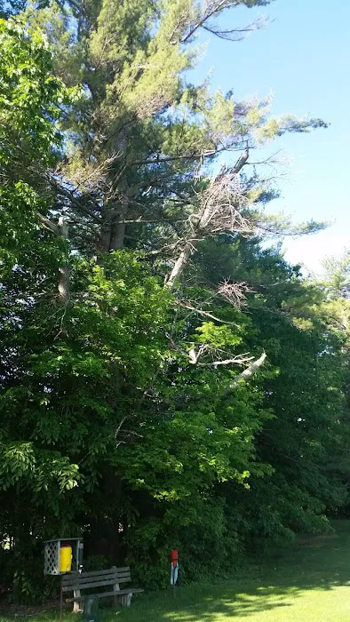 Forest Park Tenants Co-Op 8