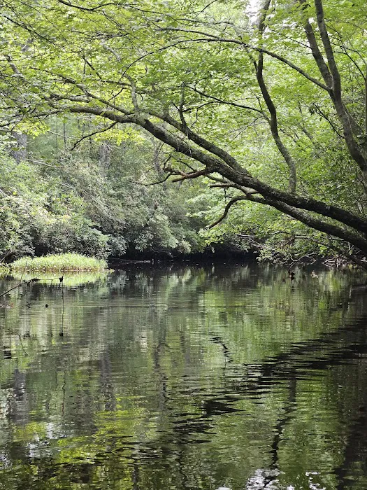 River Bend Campground 2