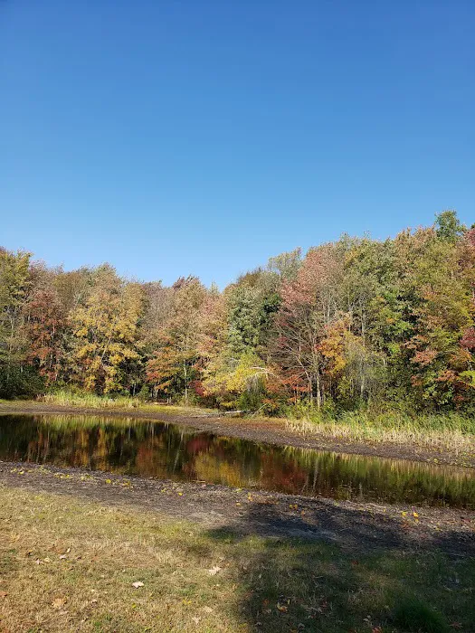 Hickory Ridge Family Campground 4