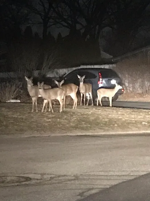 Sherwood Valley Adult Mobile 0