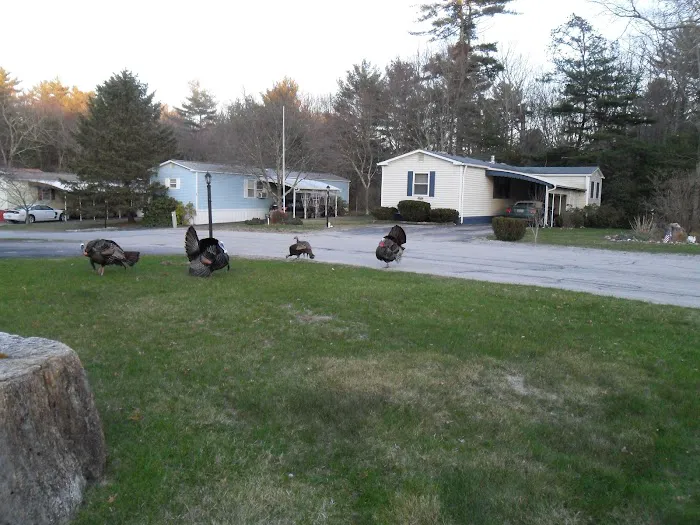 Sherwood Valley Adult Mobile 2