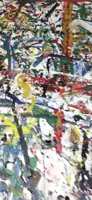 Maple Root Corporation 0