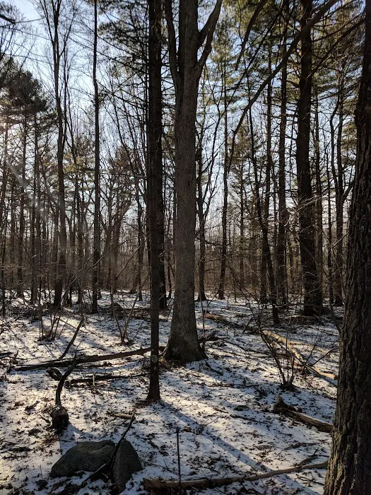 Ramblewood Estates 4