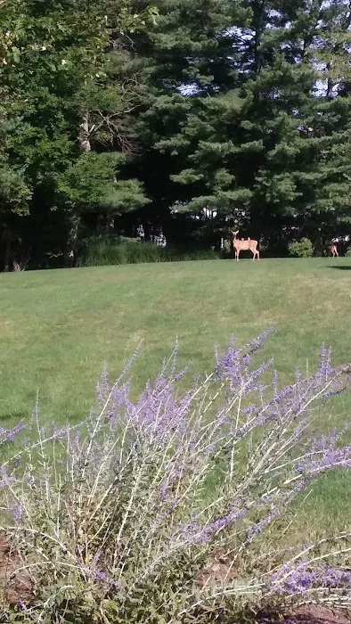 Ramblewood Estates 2