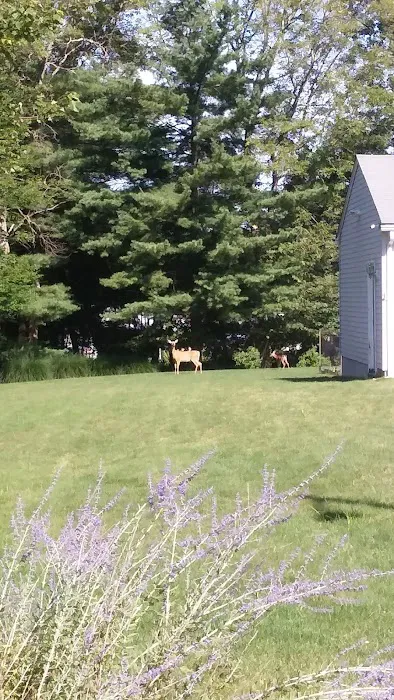 Ramblewood Estates 3