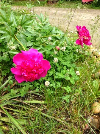 Field & Stream RV Park 1